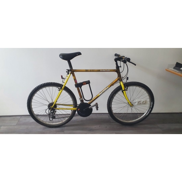 Mountainbike karbontech